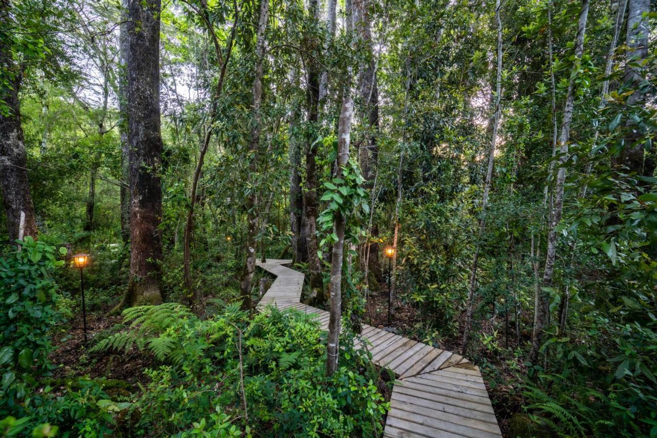 Rakau Lodge Minetué 外观 照片